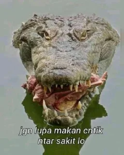 🤤 emoji stiker buaya Telegram sticker 7 of 28