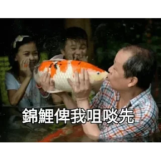 Sticker from 锦鲤表情包