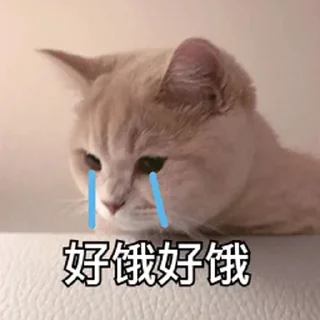 😂 emoji 锦鲤转运表情包 👉 @JsjXTBOT Telegram sticker 10 of 76