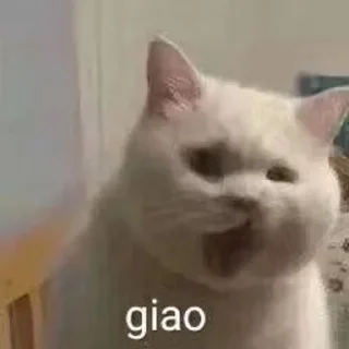 😂 emoji 锦鲤转运表情包 👉 @JsjXTBOT Telegram sticker 6 of 76