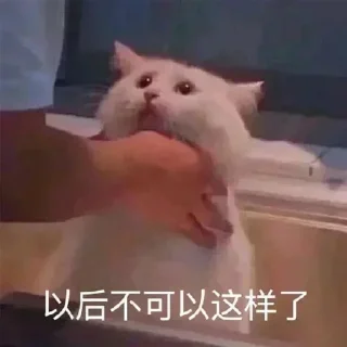 😂 emoji 锦鲤转运表情包 👉 @JsjXTBOT Telegram sticker 19 of 76