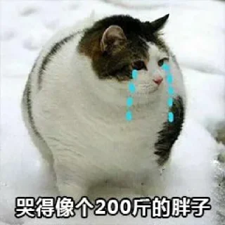😂 emoji 锦鲤转运表情包 👉 @JsjXTBOT Telegram sticker 8 of 76