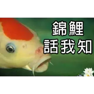 😀 emoji 锦鲤表情包 Telegram sticker 15 of 85