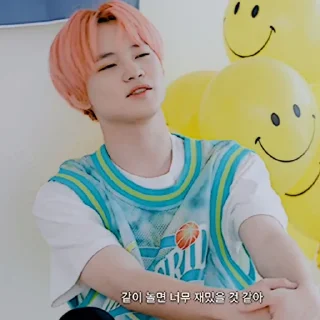🍙 emoji ꩜. chenle by @stickernct Telegram sticker 23 of 34