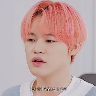 🍙 emoji ꩜. chenle by @stickernct Telegram sticker 13 of 34