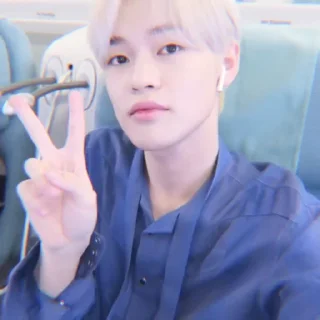 🐬 emoji soft chenle @stickernct Telegram sticker 6 of 20