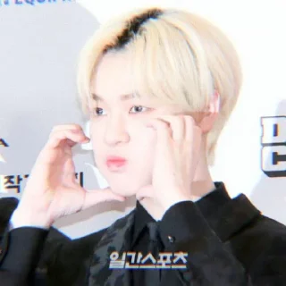 🐬 emoji soft chenle @stickernct Telegram sticker 17 of 20