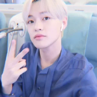 🐬 emoji soft chenle @stickernct Telegram sticker 7 of 20