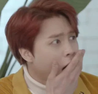🐱 emoji nct johnny meme @stikermemeidolkpop Telegram sticker 9 of 33