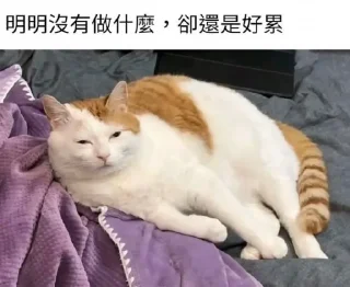 🥱 emoji 自用2 Telegram sticker 9 of 57
