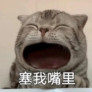 🐱 emoji （哈库呐玛塔塔专属）未经授权，盗用司马 Telegram sticker 13 of 98