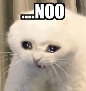 🥺 emoji senpai — @stckrRobot Telegram sticker 22 of 55