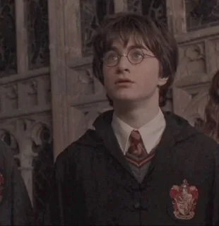 Sticker from Harry potter's