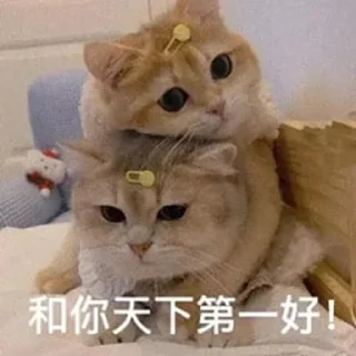 😝 emoji 东南亚最后的良心 @Coldcash_1 Telegram sticker 10 of 56