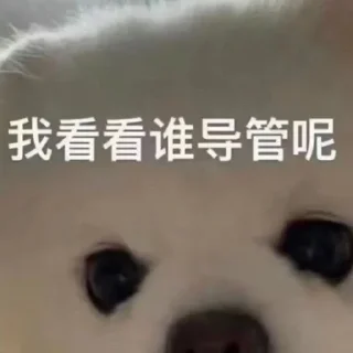 Sticker from 东南亚最后的良心 @Coldcash_1