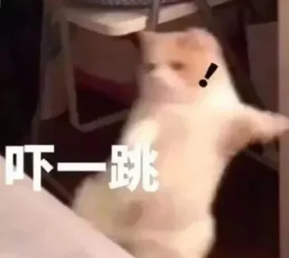 😶 emoji 东南亚最后的良心 @Coldcash_1 Telegram sticker 14 of 56