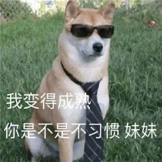 😎 emoji 东南亚最后的良心 @Coldcash_1 Telegram sticker 16 of 56