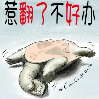 🐢 emoji 每日墙国贴纸包 Telegram sticker 14 of 46