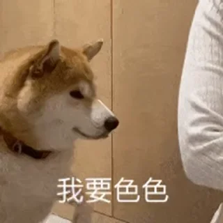 🐶 emoji 有趣的脚本哇@Functional_Store_Hub Telegram sticker 24 of 50