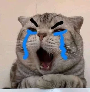 😭 emoji Meme Telegram sticker 8 of 40