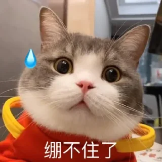 ❤️ emoji 全网最后的深情  @jiu141355 Telegram sticker 18 of 120