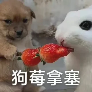 ❤️ emoji 全网最后的深情  @jiu141355 Telegram sticker 9 of 120