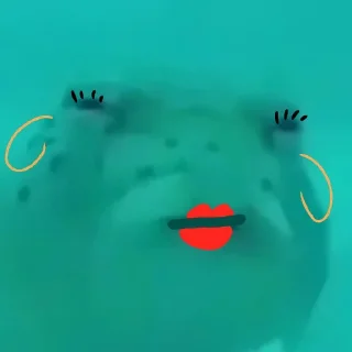 😌 emoji Ikan dongo Telegram sticker 9 of 28