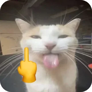 🐱 emoji stiker anya yang ngambil gue gebuk Telegram sticker 23 of 69