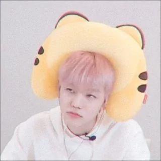 🦋 emoji jaemin scfty 🌱 : : @stickernct : : Telegram sticker 13 of 24
