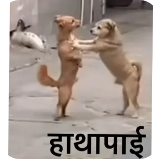 🐶 emoji FULL BAKCHODI @GOKU BADMASH Telegram sticker 10 of 120