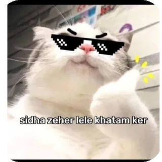 👍 emoji @izumi_rajput Telegram sticker 13 of 89