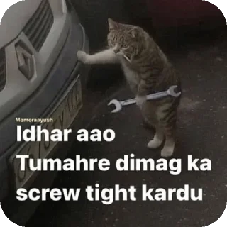 🐱 emoji @izumi_rajput Telegram sticker 20 of 89