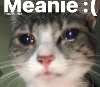 🌟 emoji catto @kinemmia’s Telegram sticker 6 of 102
