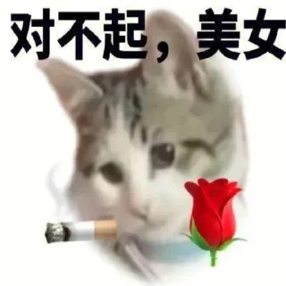 😢 emoji 来个助理吧~ @zhulididi Telegram sticker 21 of 29