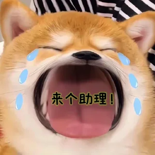 Sticker from 来个助理吧~ @zhulididi