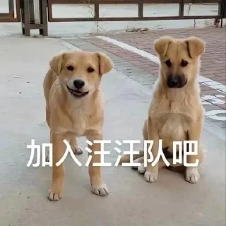 😭 emoji 来个助理吧~ @zhulididi Telegram sticker 6 of 29