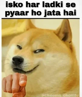 ❤️ emoji Dogee pamk  @r_squared_rishabh Telegram sticker 11 of 120