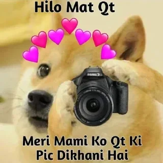 😅 emoji Dogee pamk  @r_squared_rishabh Telegram sticker 6 of 120
