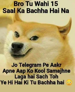 😂 emoji Vimdhayak Ji ka pack Telegram sticker 14 of 21