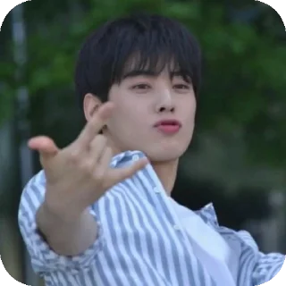 ✋ emoji Cha Eunwoo Telegram sticker 15 of 38