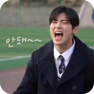 🧥 emoji Cha Eunwoo Telegram sticker 16 of 38