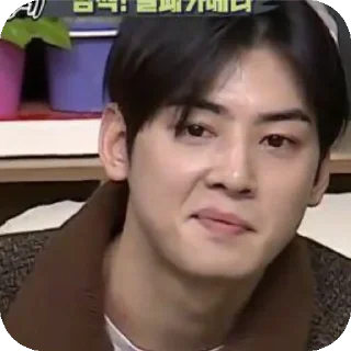👍 emoji Cha Eunwoo Telegram sticker 14 of 38