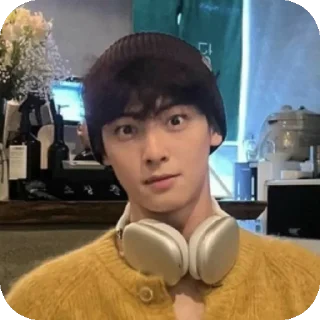 🤳 emoji Cha Eunwoo Telegram sticker 19 of 38