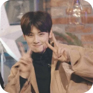 🧥 emoji Cha Eunwoo Telegram sticker 17 of 38