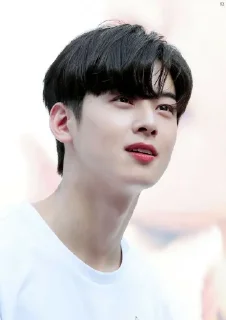 ✨ emoji Eunwoo Telegram sticker 16 of 30