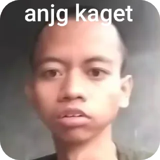 🤲 emoji mulyono skibidi Telegram sticker 20 of 54