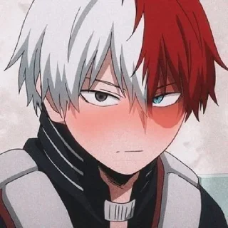 Sticker from Todoroki @Sticker_anime_boy