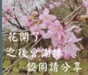 😅 emoji 長輩圖 Telegram sticker 6 of 33