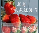 😃 emoji 長輩圖 Telegram sticker 2 of 33