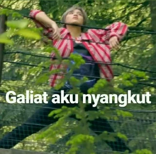 Sticker from Meme all kpop by ; @gthutmpe